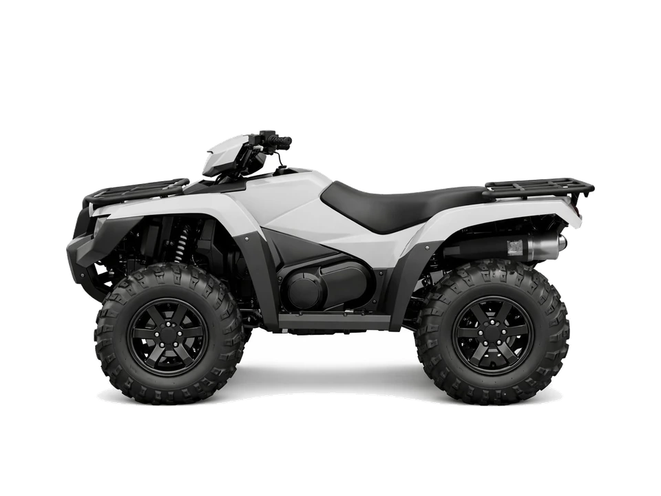 Mud/Trail for sale